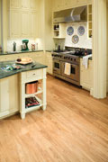 Ancient Chinese Elm - Kitchen