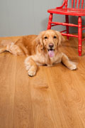 Select White Oak Flooring - Living Room